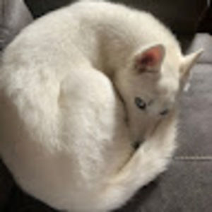 Meet your Posher, Hanako